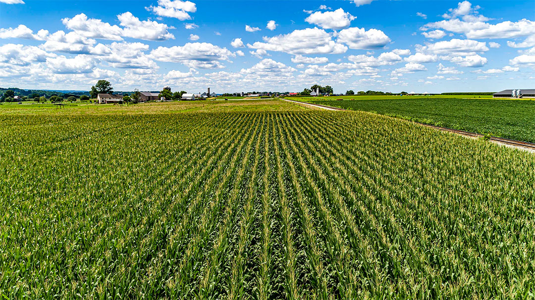 Ag drones in Statesboro